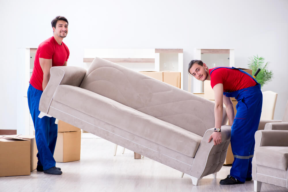 Stress Free Moving Company Rate